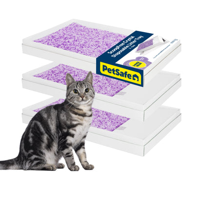 PetSafe ScoopFree Crystal Litter Tray Refills Lavender Crystals, 3-Pack Disposable Tray Includes Leak Protection & Low Tracking Litter Absorbs Odors on Contact,(PAC00-16689)