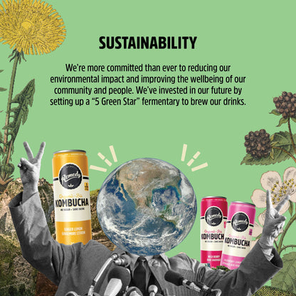 Remedy Kombucha Sugar-Free Organic Sparkling Drink - 6 Flavour Variety Pack, 355 mL Cans (24-Pack)