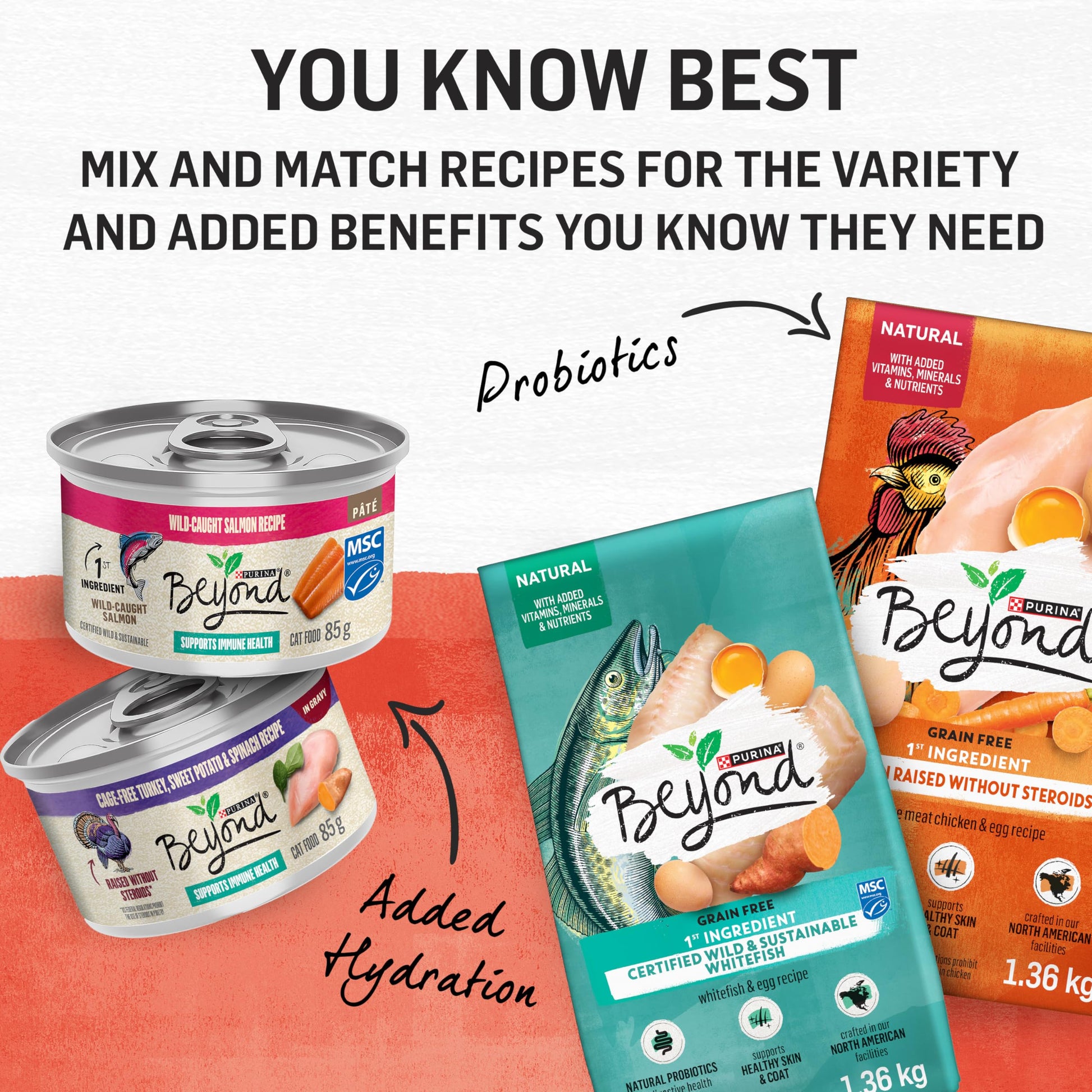 Beyond Simply Natural Dry Cat Food, Salmon & Whole Brown Rice - 2.72 kg Bag - Available at All In One Marketplace Canada