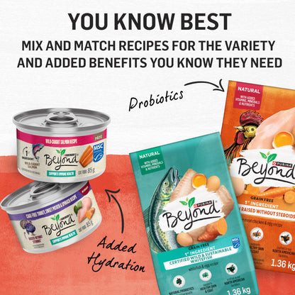 Beyond Simply Natural Dry Cat Food, Salmon & Whole Brown Rice - 2.72 kg Bag - Available at All In One Marketplace Canada