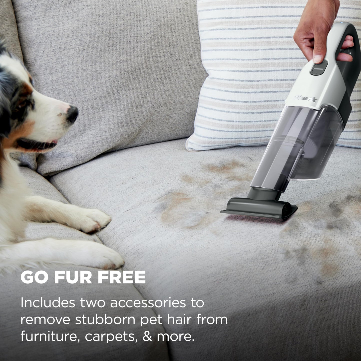 Shark® Cyclone PET Handheld Vacuum, Pearl White, AA701 🍁 All In One Marketplace Canada