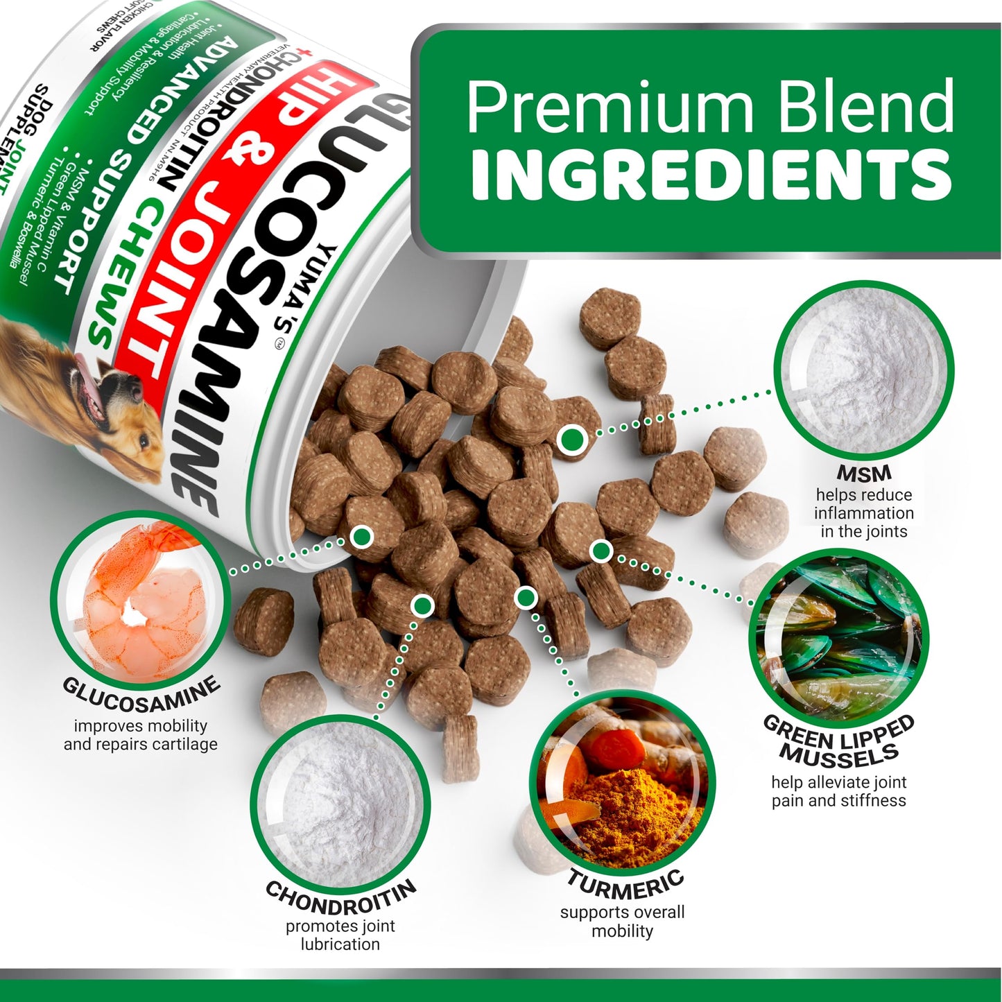 Glucosamine for Dogs - 165 Chews - Hip and Joint Supplement for Dogs - Glucosamine Chondroitin Chews - Joint Pain Relief Supplement with MSM - Advanced Health - Mobility Support - Made in USA
