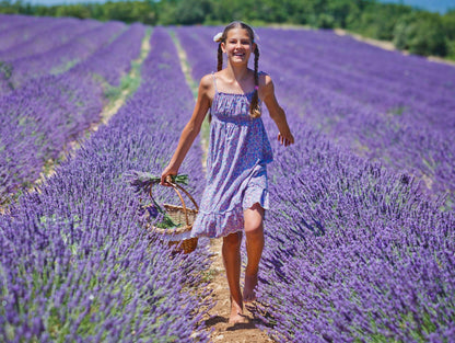 Pura Aide Lavender Sachets Pre-Filled for Refreshing Drawers Closets Dressers Shoe Boxes Wedding Toss Home Fragrance Fresh Scents (Pack of 22) - Available at All In One Marketplace Canada
