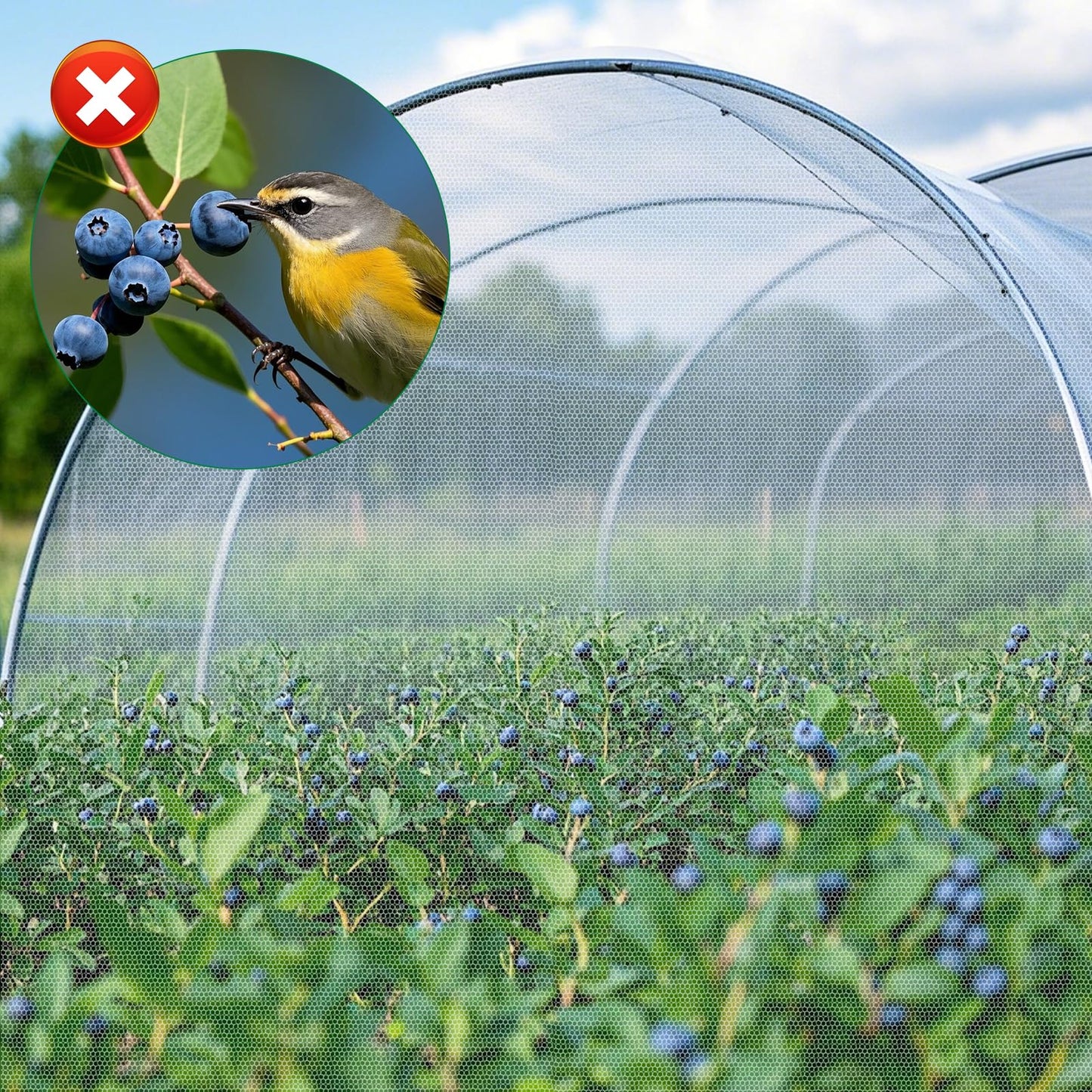 Ultra Fine Insect Mesh Garden Netting 3M x 15M, Extra Large Insect & Bird Barrier Netting, Crop Protection Plants Netting for Vegetables, Fruit Trees, Greenhouse, Customizable Plant Cover Protection - Available at All In One Marketplace Canada