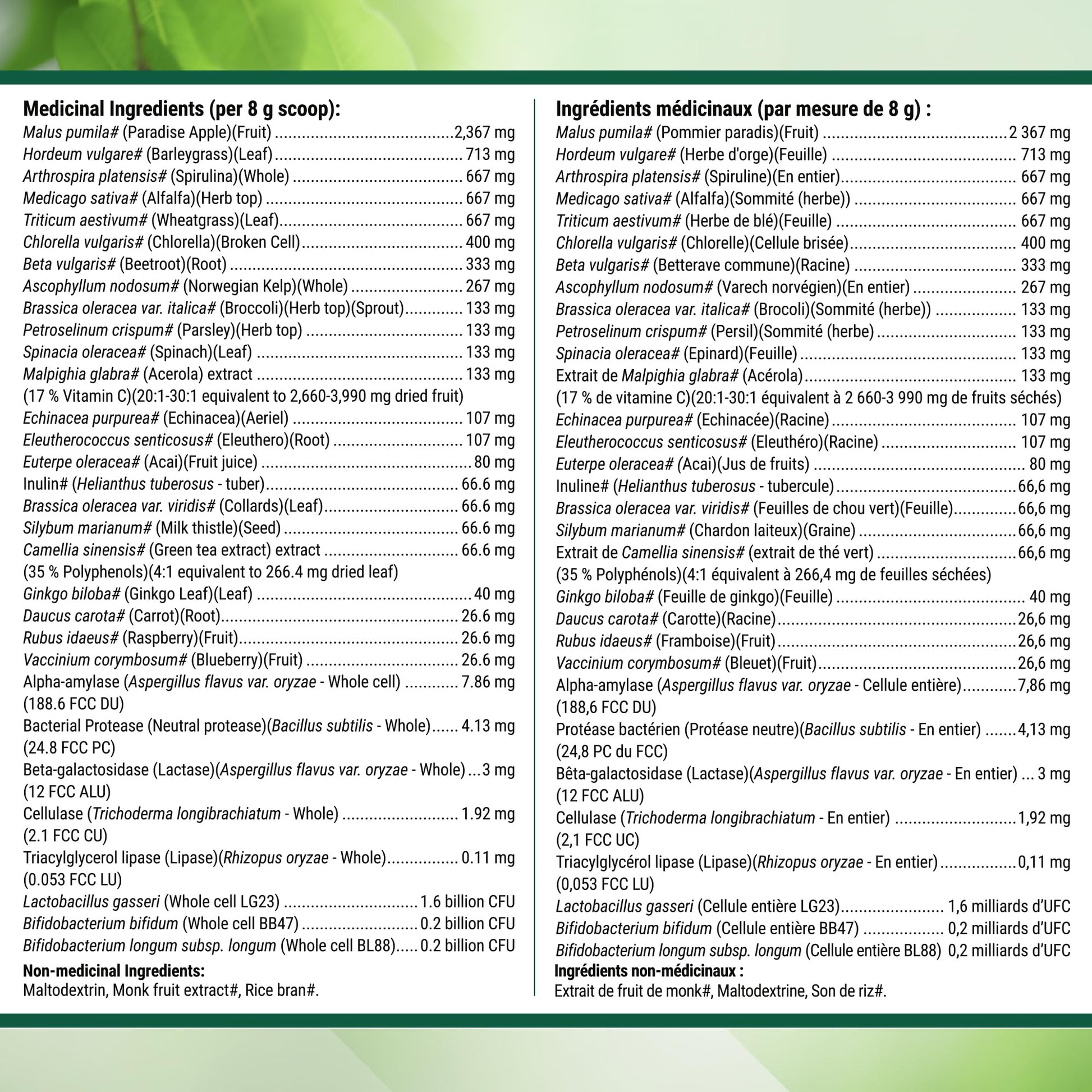 Nested Naturals Super Greens Powder - Organic Daily Greens Superfood Powder w/ 20+ Whole Foods, Spirulina, Wheat Grass & Barley Grass - Probiotics, Fiber & Enzymes - USDA Certified Organic, Original Flavour, 30 Servings - Available at All In One Marketplace Canada