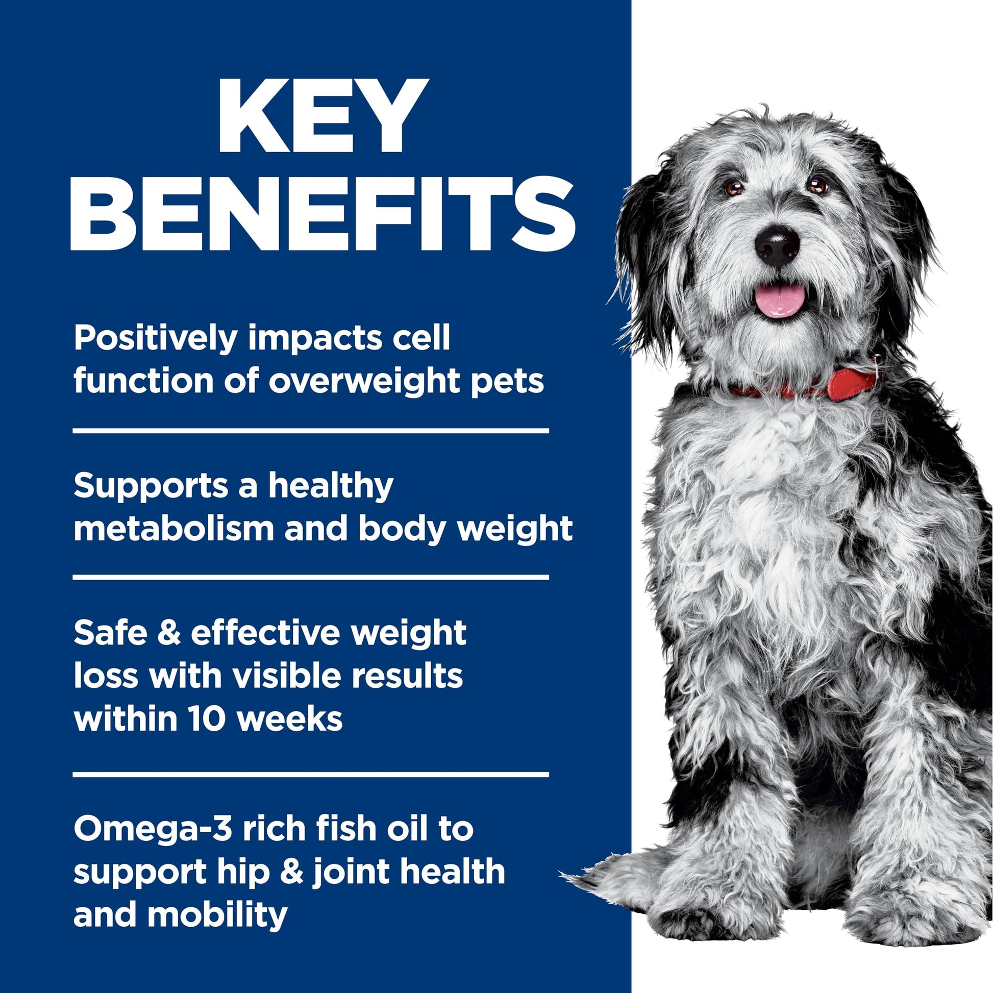 Hill's Science Diet Adult Perfect Weight & Joint Support Chicken Recipe Dry Dog Food 11.34 kg Bag Hill's Science Diet