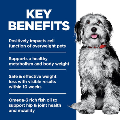 Hill's Science Diet Adult Perfect Weight & Joint Support Chicken Recipe Dry Dog Food 11.34 kg Bag Hill's Science Diet