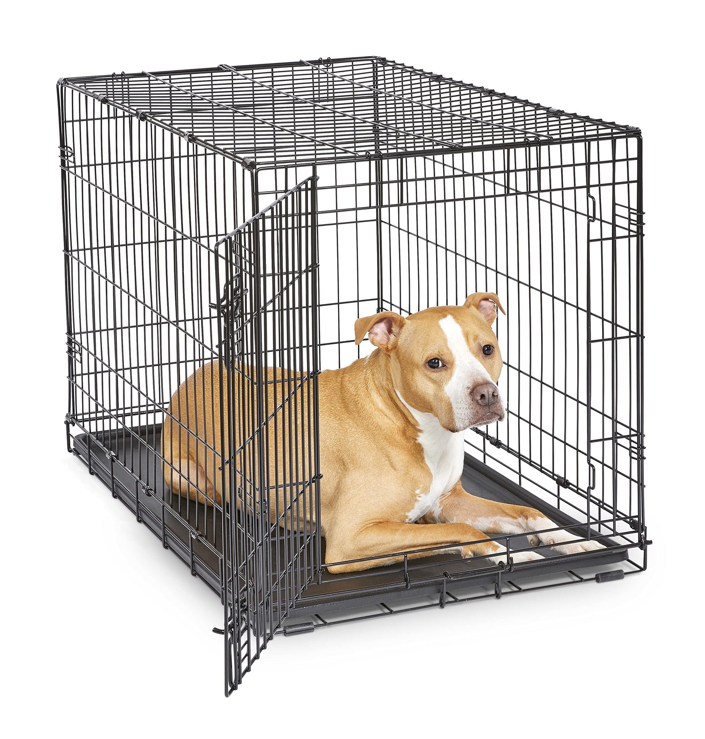 MidWest Homes for Pets 36-Inch New World Crate for Medium-Large Breeds, 41-70 lbs, Single Door Folding Dog Crate, Leak-Proof Tray & Secure Latch, Portable, Durable & Easy to Assemble 🍁 All In One Marketplace Canada