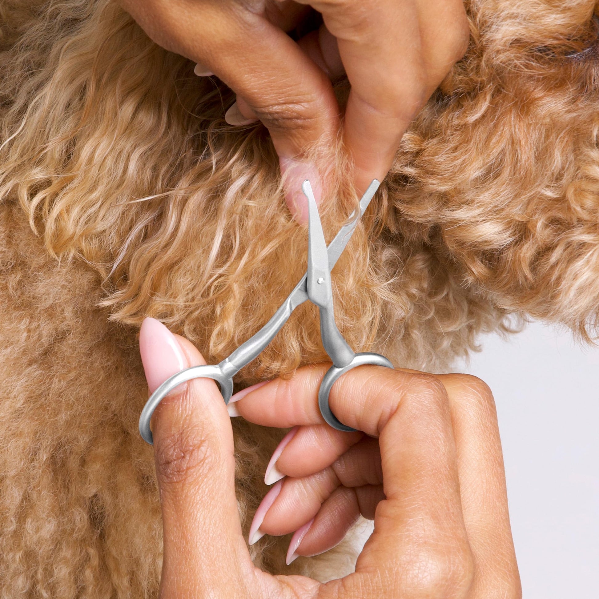 Tweezerman Dog and Cat Stainless Steel Safety Tip Grooming Scissors Tweezerman