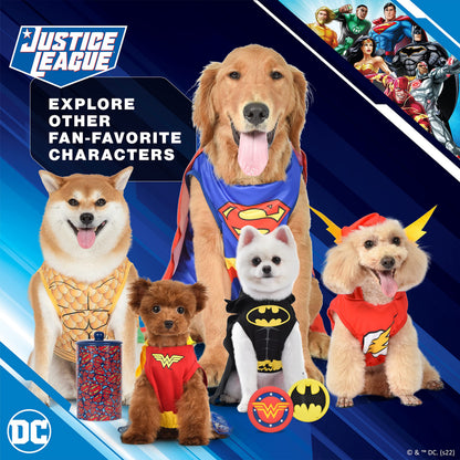 DC Comics for Pets The Flash Dog Costume, Small