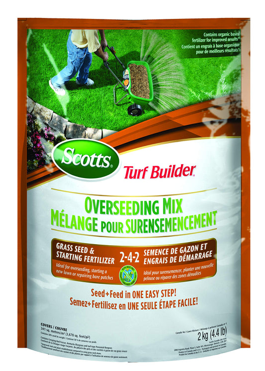 Scotts Turf Builder Overseeding Mix Grass Seed & Starting Fertilizer 2-4-2, 2kg (341 sq Meters / 3,670 sq feet Coverage) | Repair Thin Lawns, Fast Germination, Strong Roots - Available at All In One Marketplace Canada