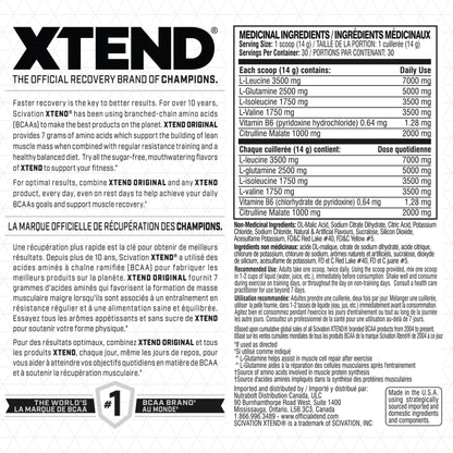 Scivation XTEND Original BCAA Powder - Sugar-Free Muscle Recovery with 7g BCAA, 2.5g L-Glutamine - Mango Madness, 30 Servings Scivation
