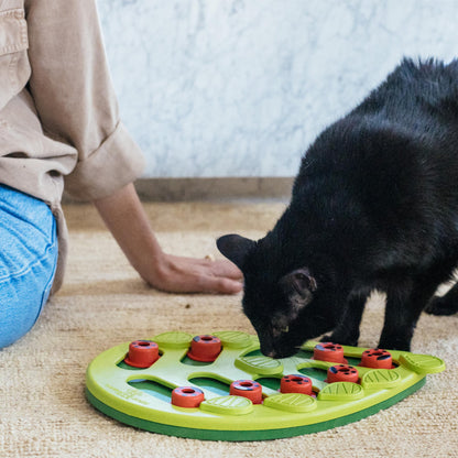 Catstages Buggin' Out Puzzle & Play, Interactive Treat Puzzle Cat Toy, Green - Available at All In One Marketplace Canada
