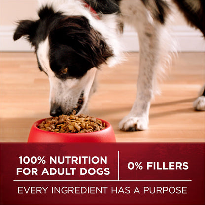 Purina ONE True Instinct Dry Dog Food, Salmon & Tuna 12.4kg Purina ONE