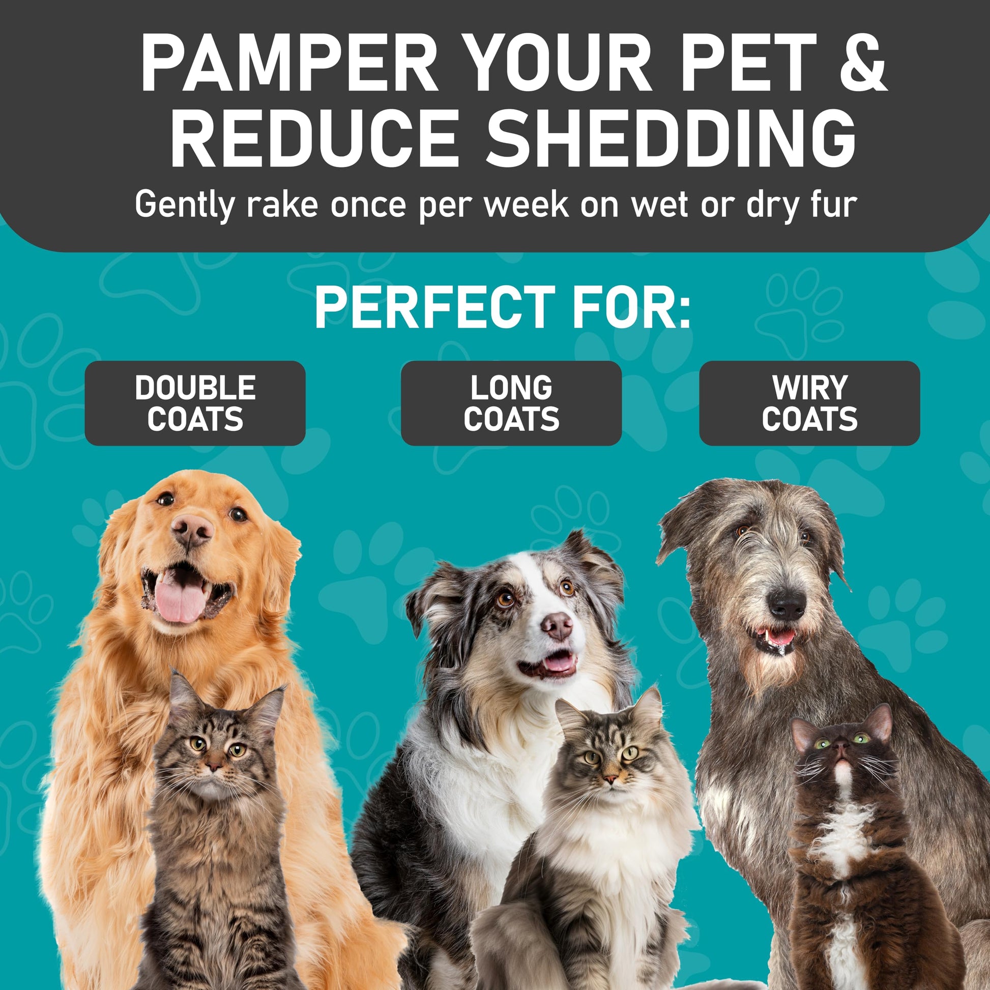 Maxpower Planet Pet Grooming Brush - Double Sided Shedding, Dematting - Undercoat Rake for Dogs - Dog Grooming Brush - Deshedding Brush for Dogs - Dog Brush, Cat Brush, Reduce Shedding by 95%, Purple