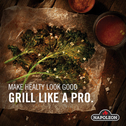 Napoleon Charcoal Starter (67800) Napoleon