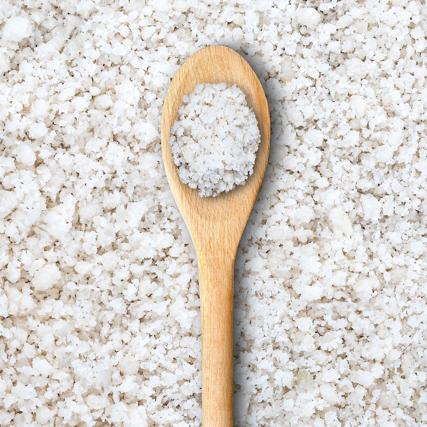 NANO Baja Sea Salt Organic | 90 Minerals, 4X More Than Celtic Sea Salt | Low Sodium, Pure & Clean | Cooking & Wellness | 1 lb (454g)