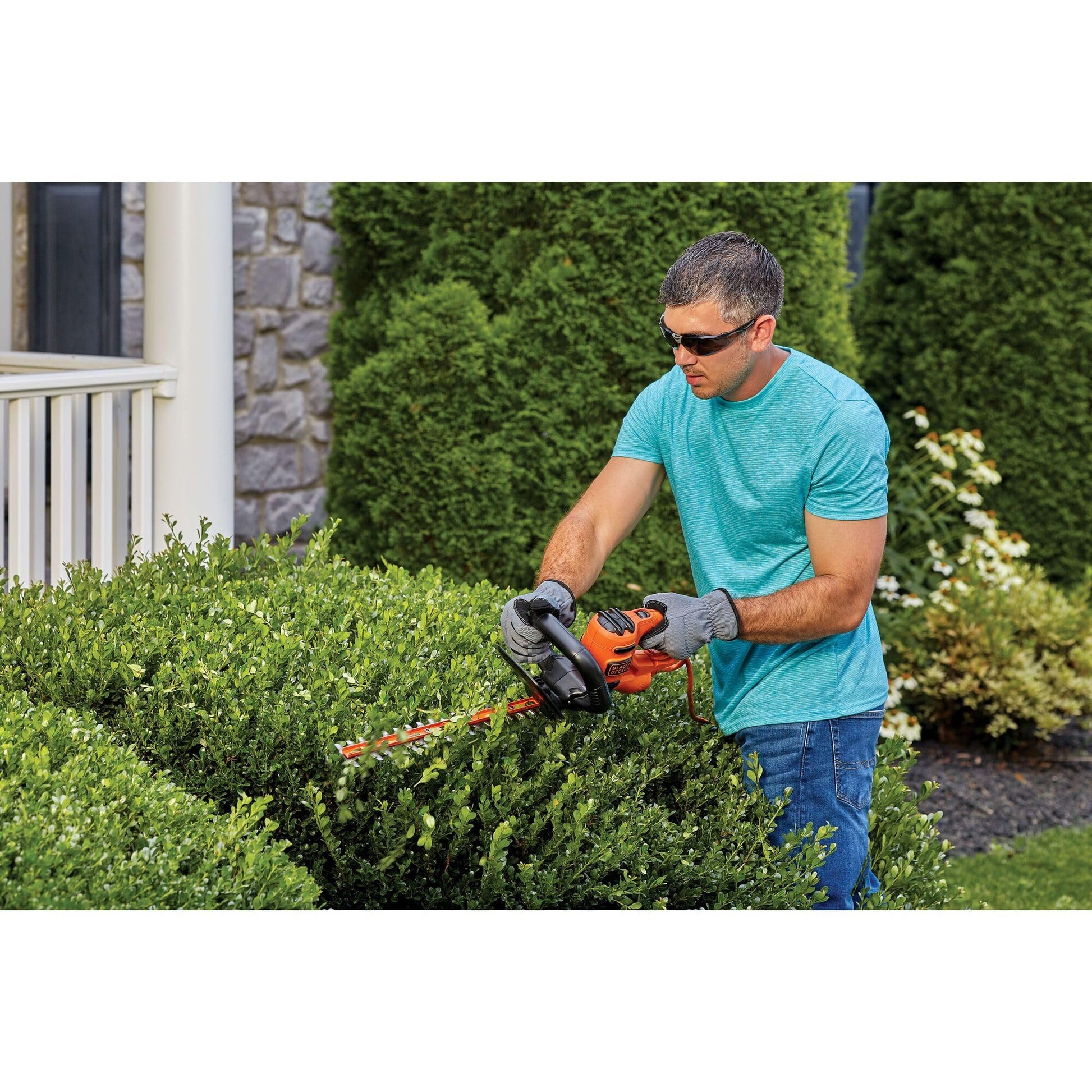 BLACK+DECKER Electric Hedge Trimmer, 16-Inch (BEHT100)