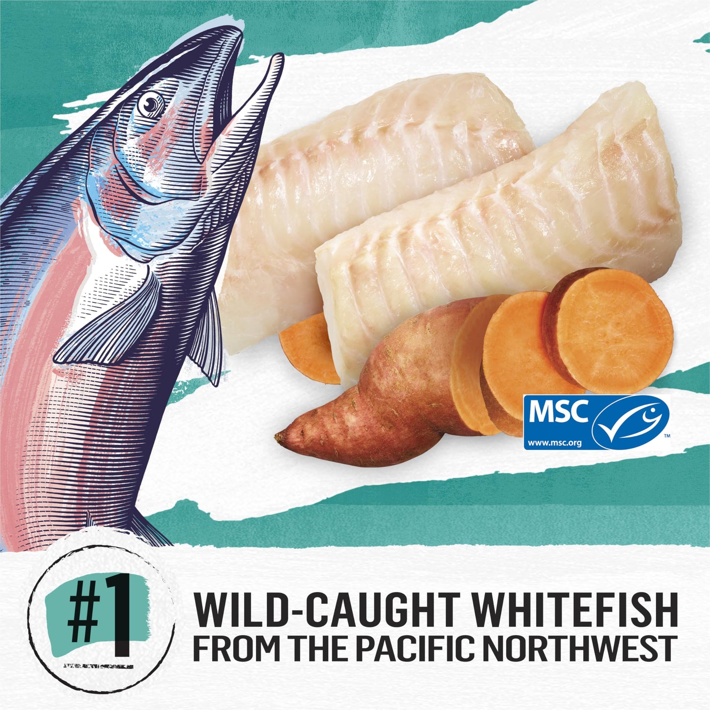 Beyond Grain Free Natural Dry Cat Food, Wild-Caught Whitefish & Free Run Egg - 2.26 kg Bag