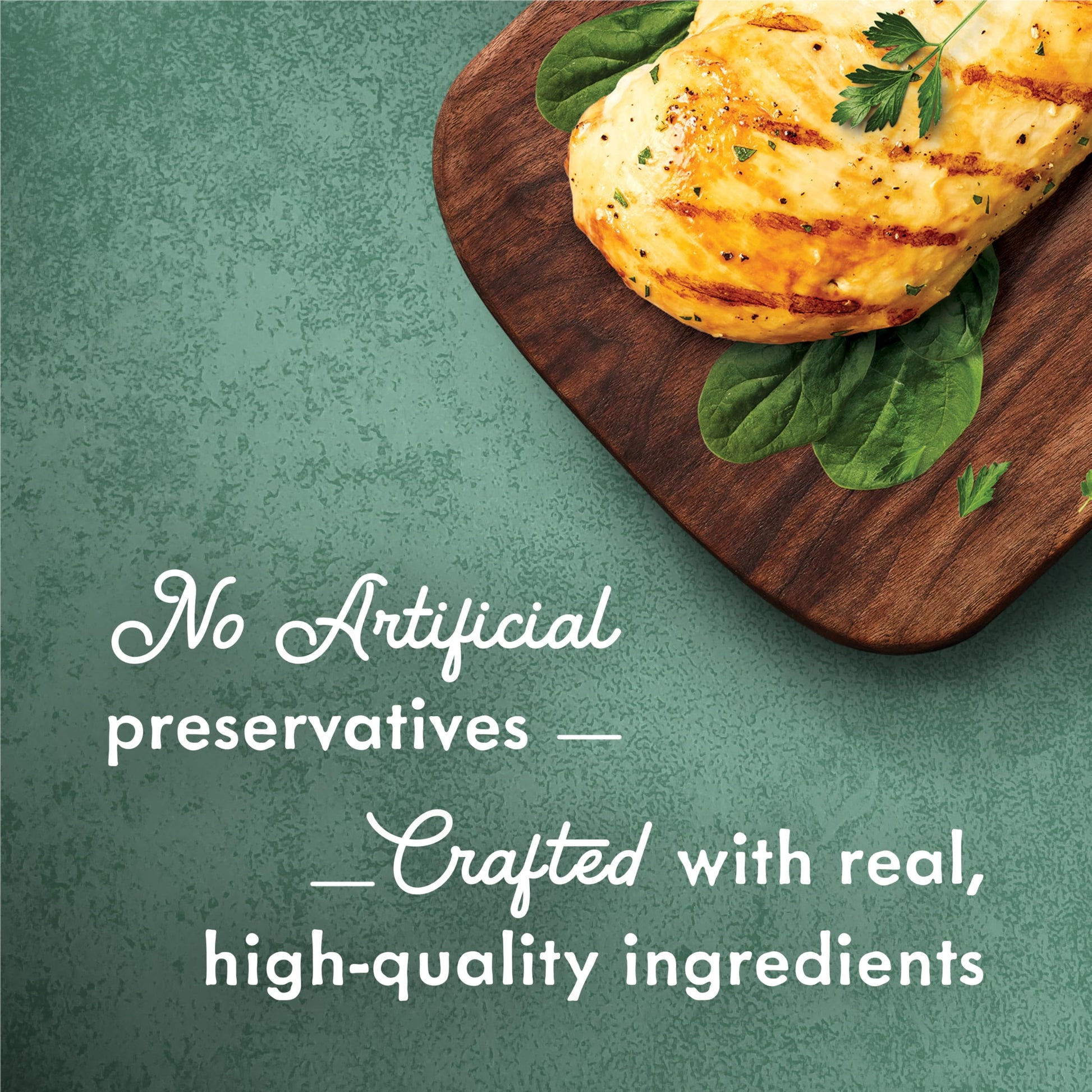 Fancy Feast Medleys Wet Cat Food, White Meat Chicken Florentine - 85 g Can (24 Pack) Fancy Feast