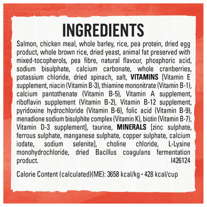 Beyond Simply Natural Dry Cat Food, Salmon & Whole Brown Rice - 2.72 kg Bag - Available at All In One Marketplace Canada