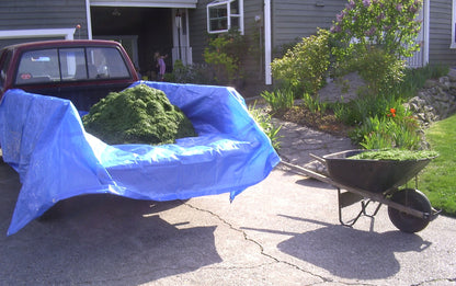 Dry Top 820300 Cut Size Tarp, 20x30 Feet (Brown/Green)
