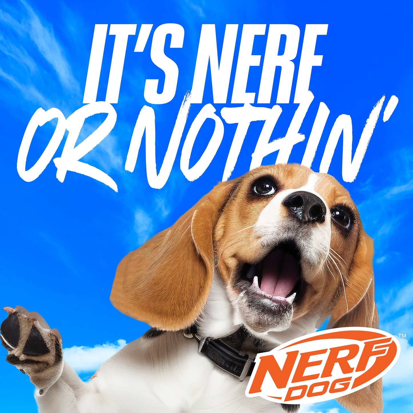 Nerf Dog Tennis Ball Blaster Dog Toy with 1 Ball, 16 in, Blue/Orange Nerf Dog