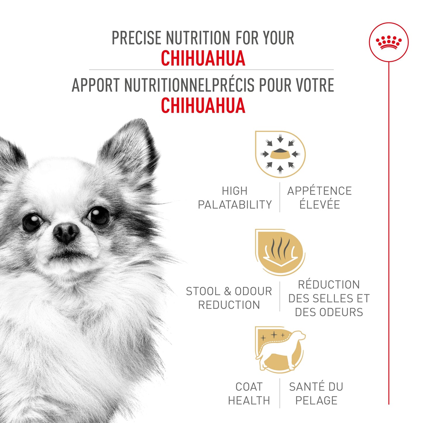 Royal Canin Chihuahua Adult Dry Dog Food, 10 lb bag ROYAL CANIN