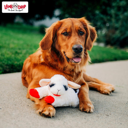 MultiPet MU48375 Plush Dog Toy, Lambchop, 10'', White