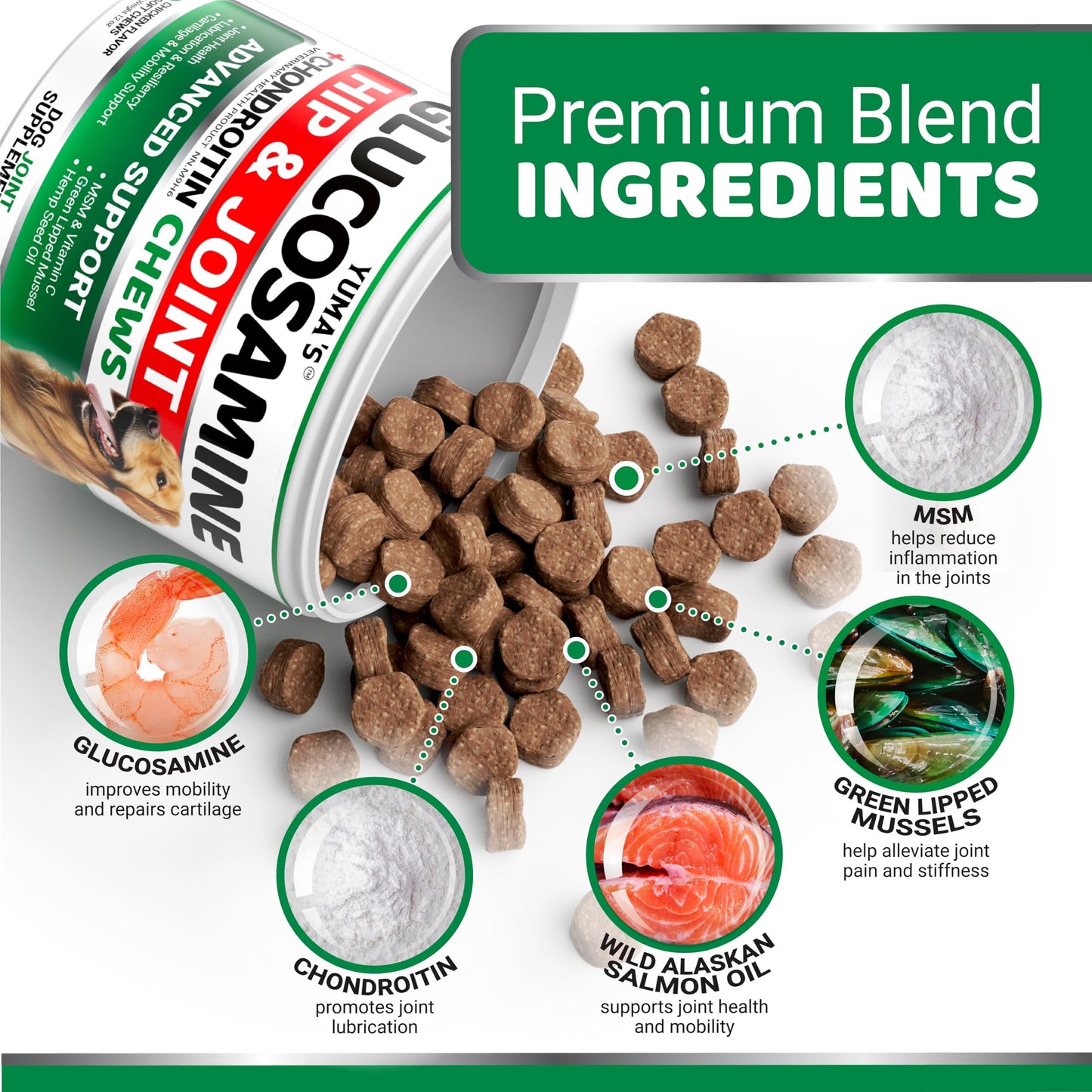 Glucosamine for Dogs - 170 Chews - Hip and Joint Supplement for Dogs - Glucosamine Chondroitin Chews - Joint Pain Relief Supplement with MSM - Advanced Health - Mobility Support - Made in USA