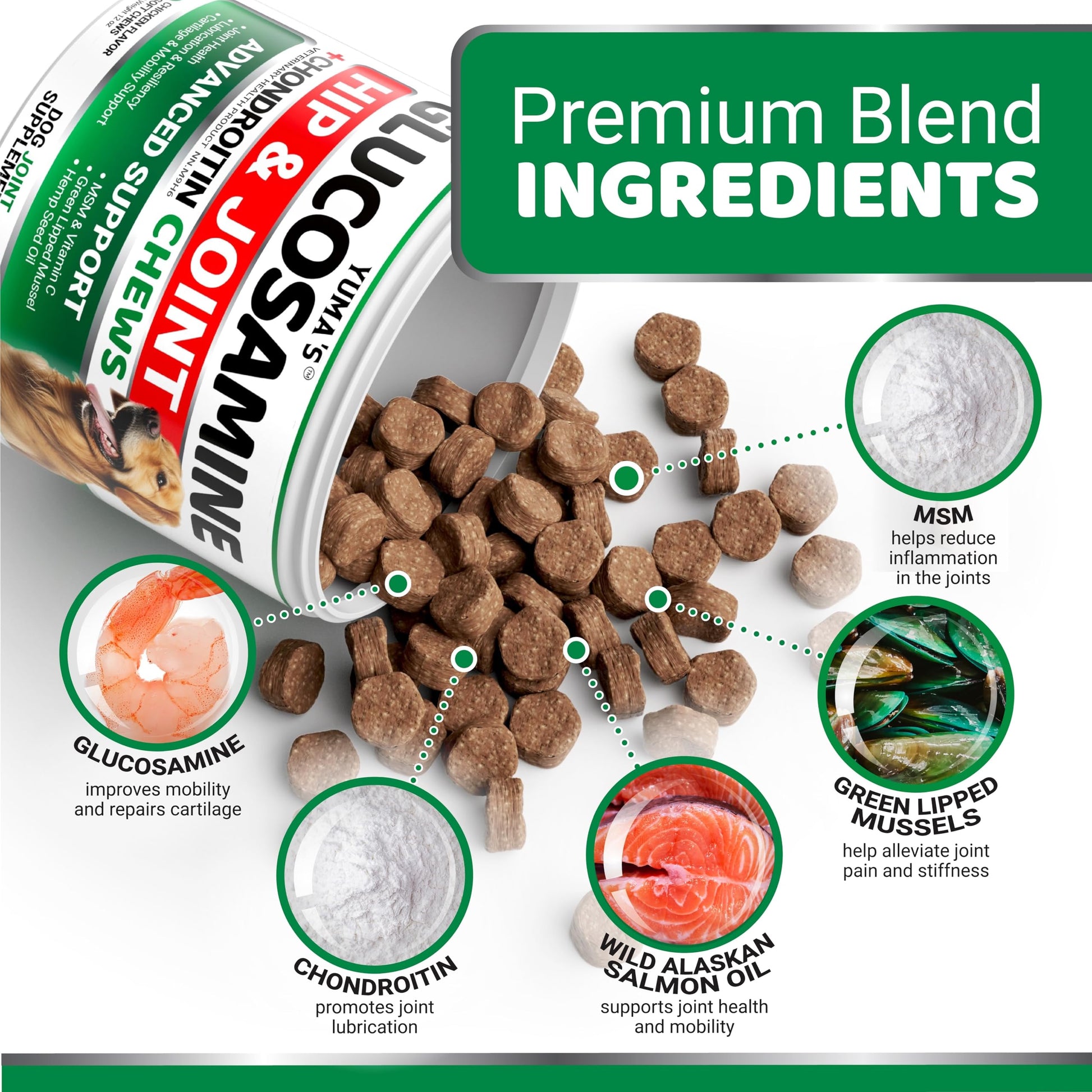 Glucosamine for Dogs - 170 Chews - Hip and Joint Supplement for Dogs - Glucosamine Chondroitin Chews - Joint Pain Relief Supplement with MSM - Advanced Health - Mobility Support - Made in USA