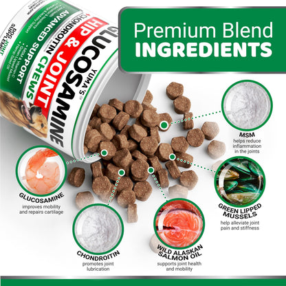 Glucosamine for Dogs - 170 Chews - Hip and Joint Supplement for Dogs - Glucosamine Chondroitin Chews - Joint Pain Relief Supplement with MSM - Advanced Health - Mobility Support - Made in USA