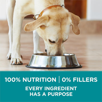 Purina ONE Dry Dog Food, +Plus Large Breed with Chicken - 7 kg Bag (1 Pack)