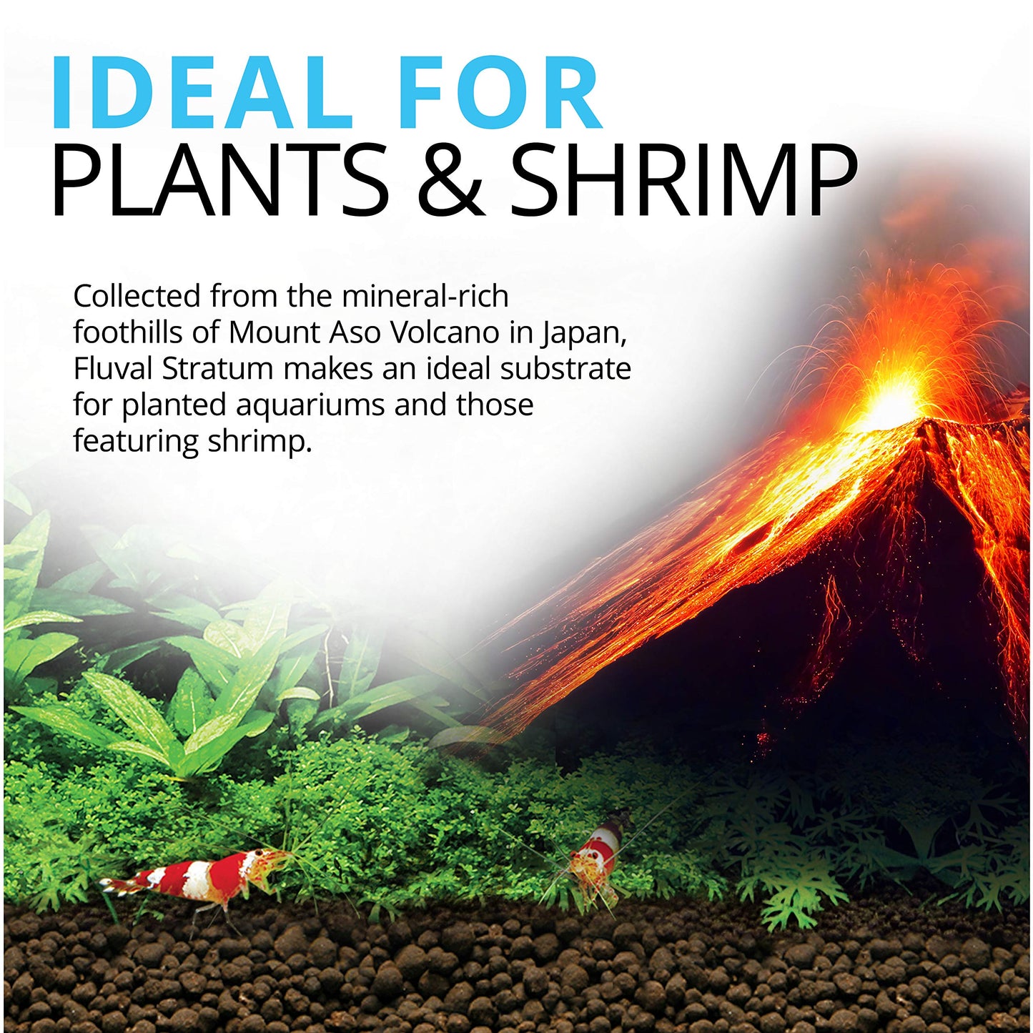 Fluval 12697 Plant and Shrimp Stratum, 8.8-Pound, Black Fluval