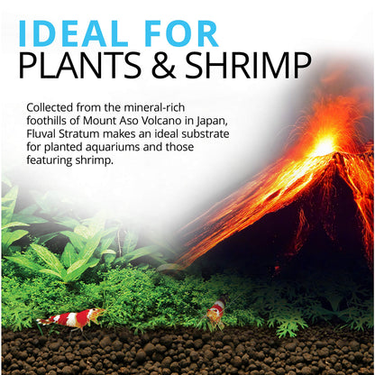 Fluval 12697 Plant and Shrimp Stratum, 8.8-Pound, Black Fluval