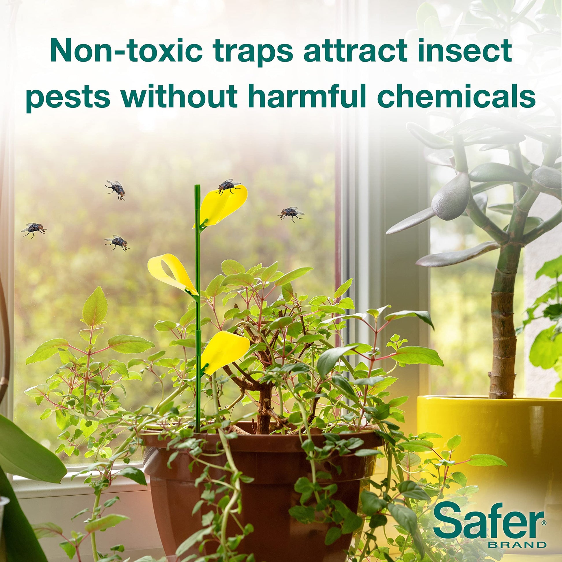 Safer's 07-2122CAN Houseplant Sticky Stake Insect Traps for Indoor Plants - Controls Fungus Gnats, Whiteflies, Midges, Thrips, Fruit Flies, and Black Flies - 12 Traps - Available at All In One Marketplace Canada