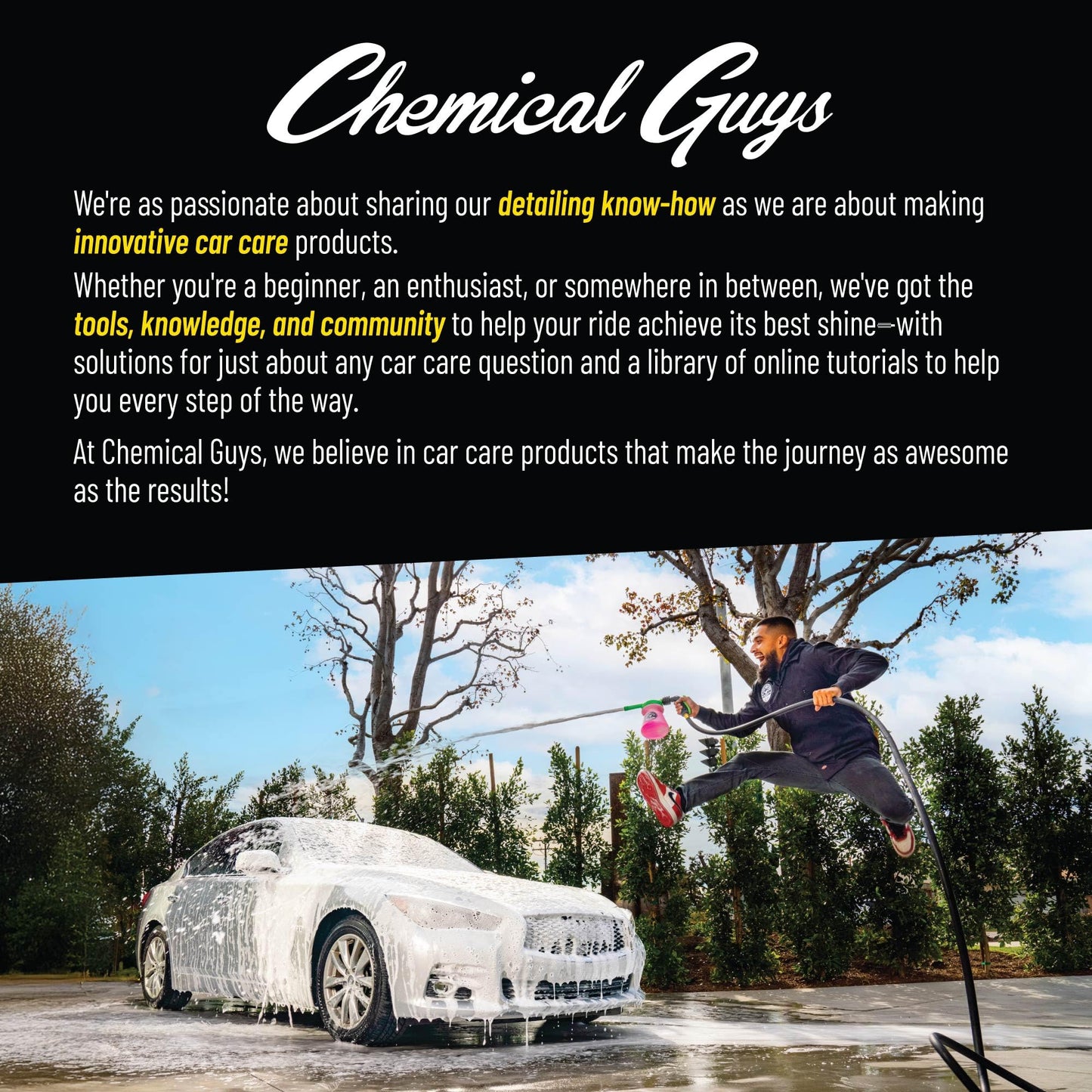 Chemical Guys All in The Details Interior Detailing Brush Set (Great for Cars, Trucks, SUVs, RVs, & More) Chemical Guys