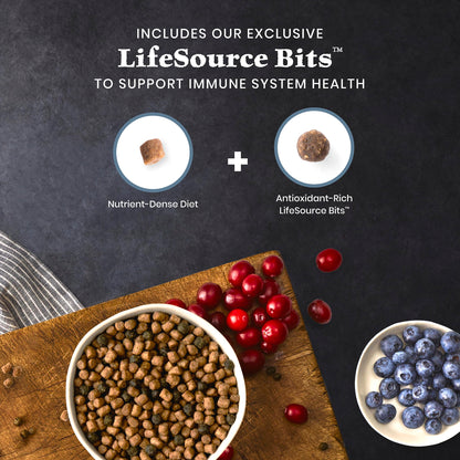 Blue Buffalo Wilderness Chicken Natural High-Protein Grain-Free Dry Food for Adult Indoor Cats, Antioxidant-Rich LifeSource Bits Support Immunity, Promotes Strong Muscles, 4.9kg/11 lbs.