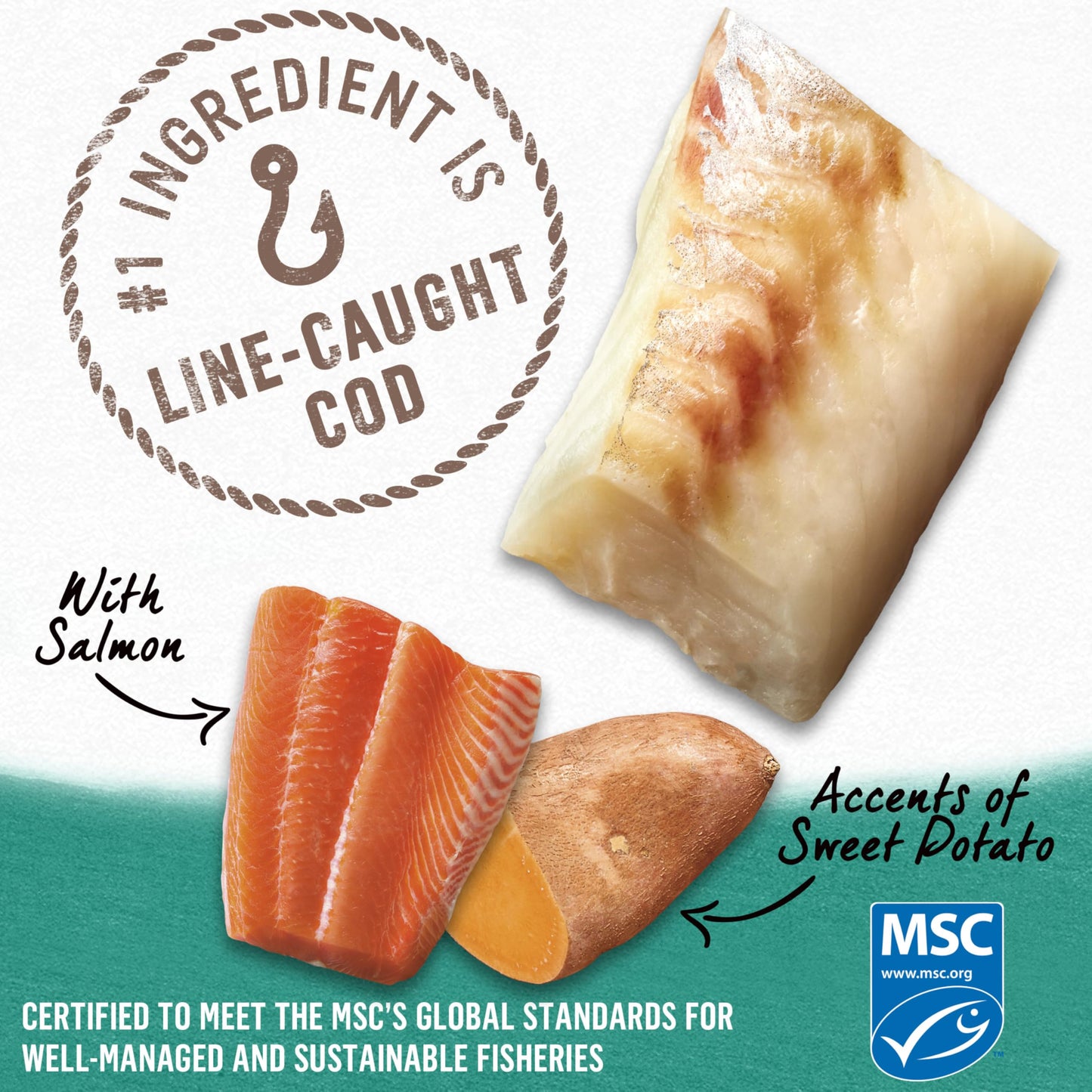 Beyond Natural Wet Dog Food, Alaskan Cod, Salmon & Sweet Potato Ground Entree - 368 g Can (12 Pack) Beyond