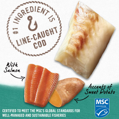 Beyond Natural Wet Dog Food, Alaskan Cod, Salmon & Sweet Potato Ground Entree - 368 g Can (12 Pack) Beyond