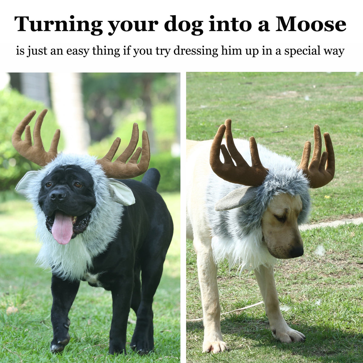 Onmygogo Funny Pet Moose Costumes for Dog, Cute Furry Pet Wig for Halloween Christmas, Pet Clothing Accessories (L, Moose) 🍁 All In One Marketplace Canada