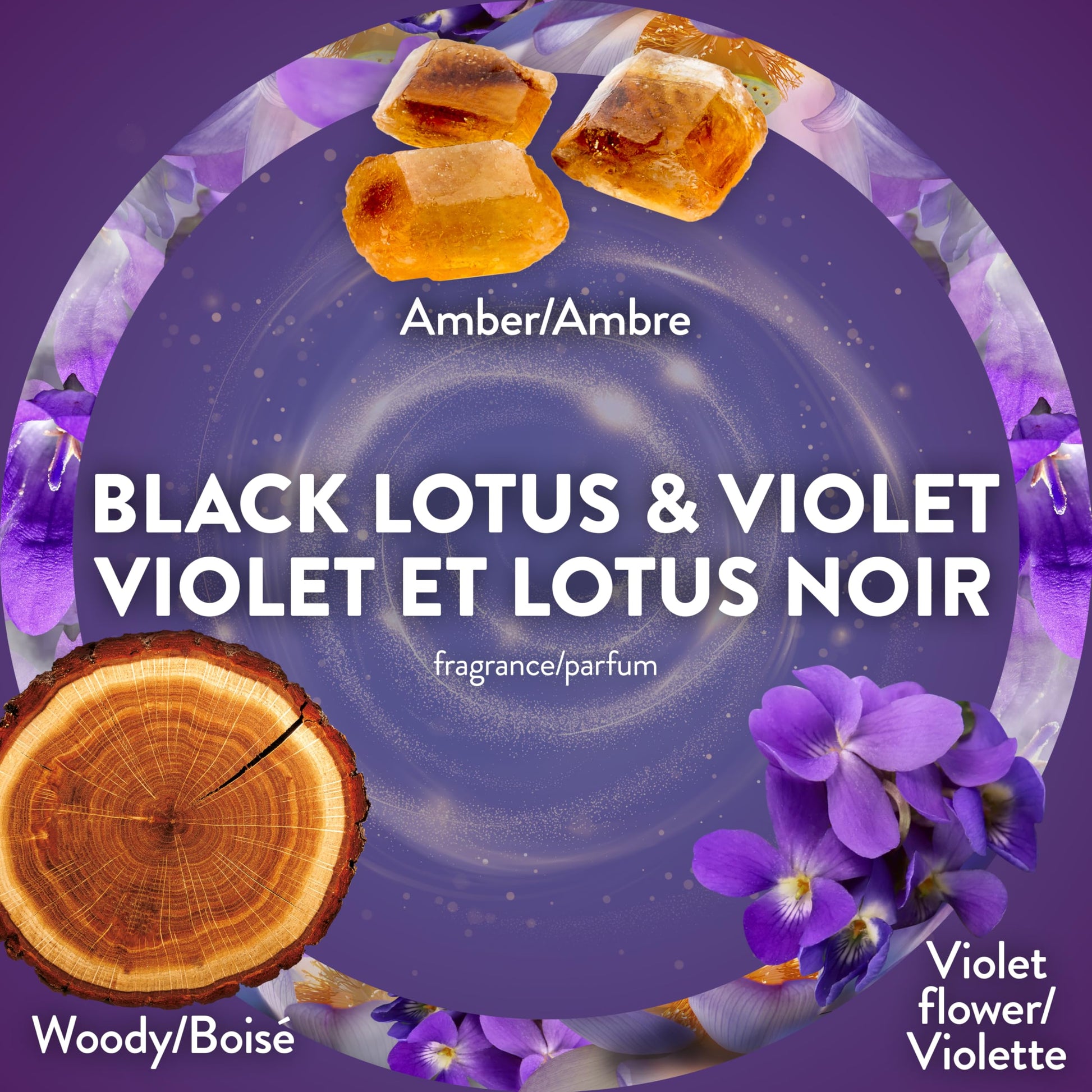 Air Wick Essential Mist Refill – Air Freshener Infused with Essential Oils, Easy Change Refill for Cordless Diffuser – 3 Count – Black Lotus & Violet Scent - Available at All In One Marketplace Canada