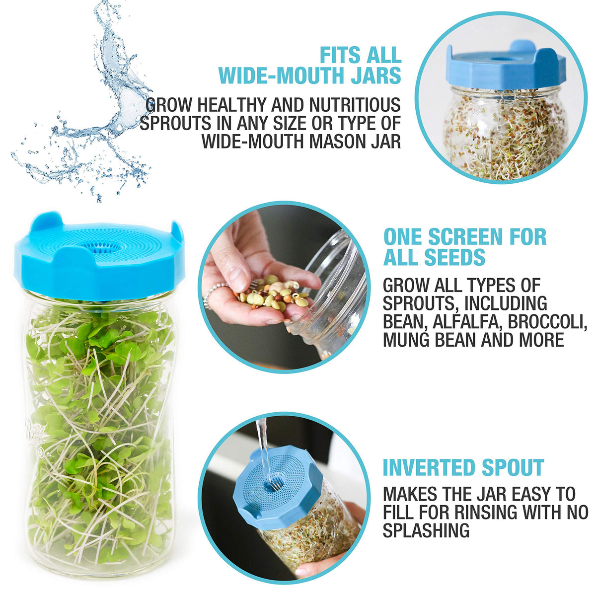 Masontops Bean Screen Plastic Mason Jar Sprouting Lids Mason Jar Sprouting Kit – for Growing Broccoli Seeds, Alfalfa, Mung Bean Sprouts – Wide Mouth Seed Sprouting Jar Lids Sprouting Kit Mason Jar 🍁 All In One Marketplace Canada