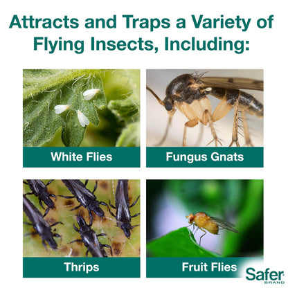 Safer's 07-2122CAN Houseplant Sticky Stake Insect Traps for Indoor Plants - Controls Fungus Gnats, Whiteflies, Midges, Thrips, Fruit Flies, and Black Flies - 12 Traps - Available at All In One Marketplace Canada