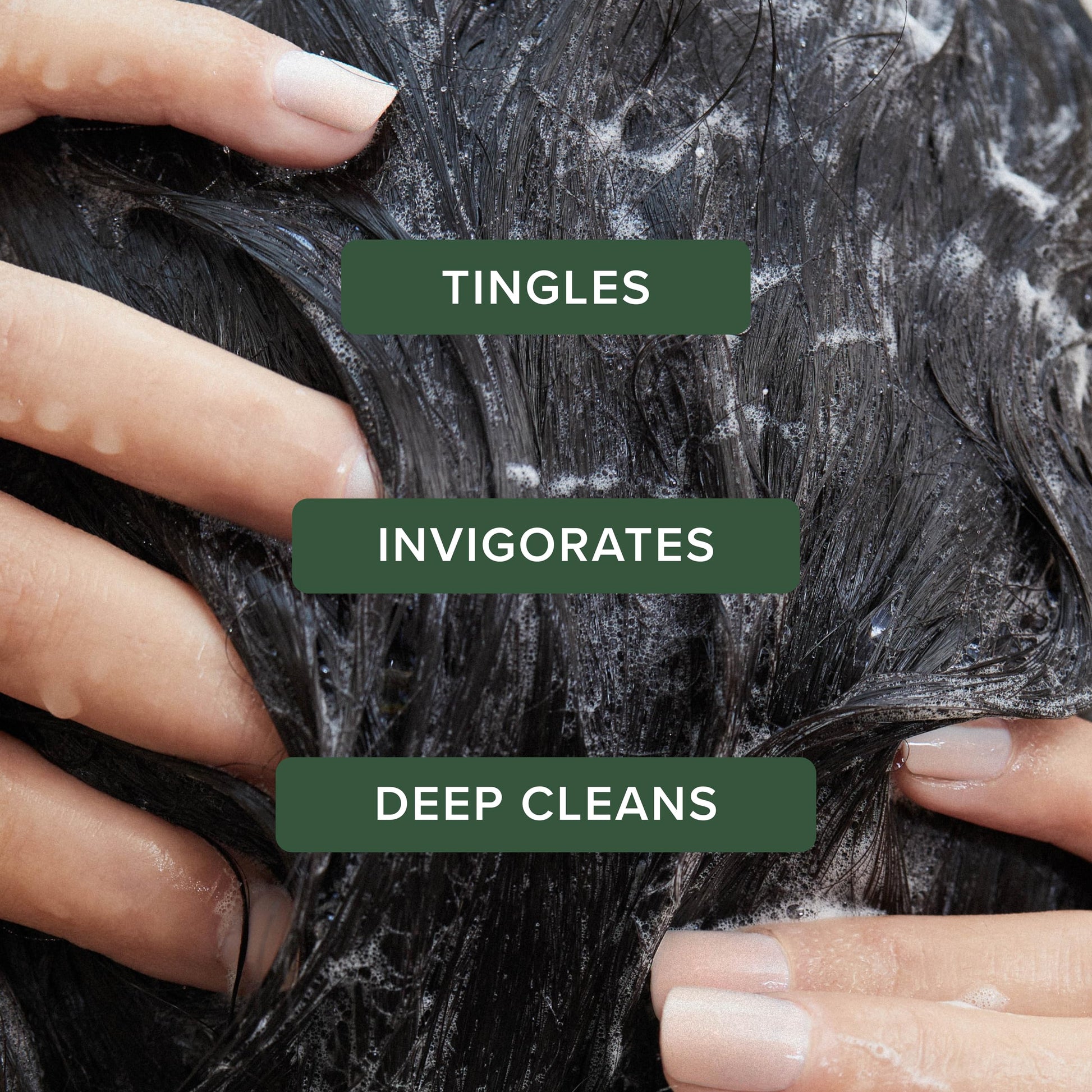 Tea Tree Special Shampoo, Deep Cleans, Refreshes Scalp, For All Hair Types, Especially Oily Hair Tea Tree