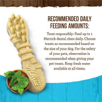 Merrick Fresh Kisses Mint Breath Strips Medium Brush Dental Dog Treat - Value Box (22 ct) Merrick