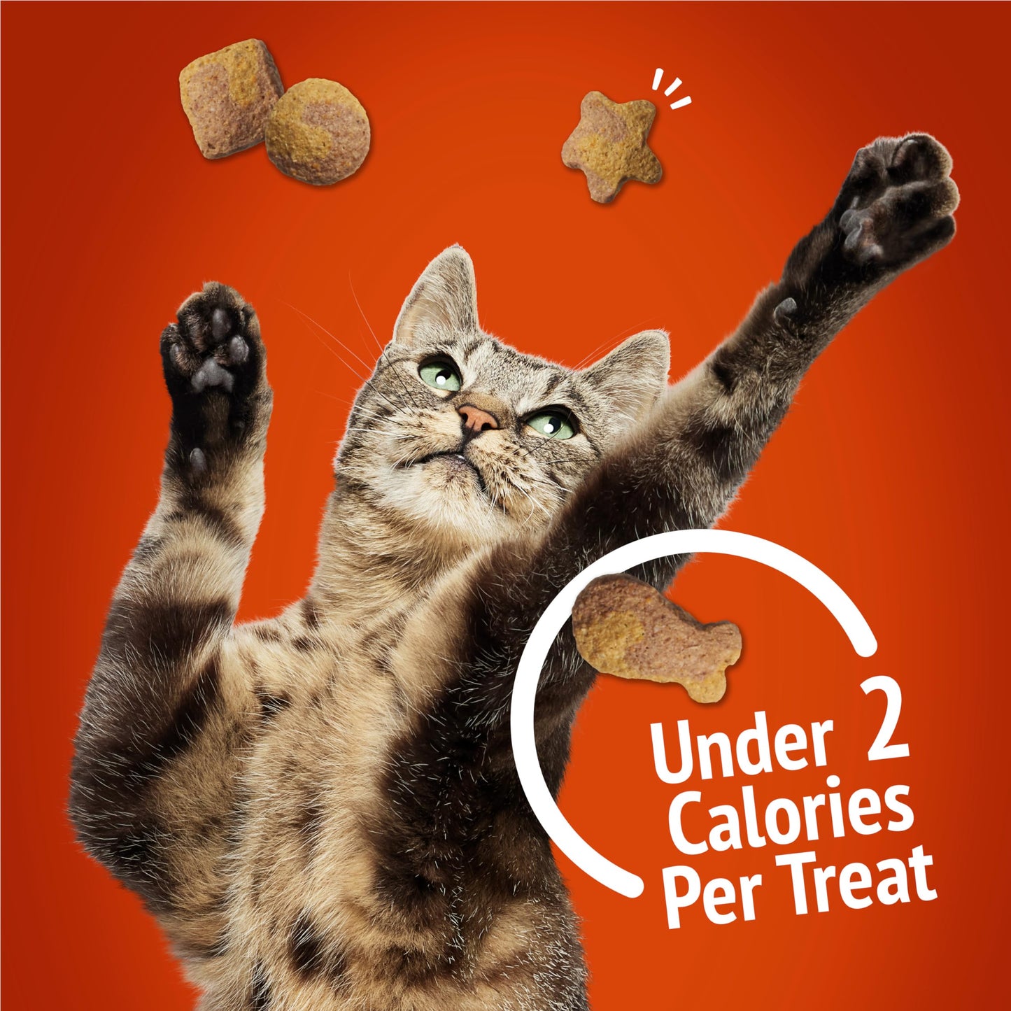 Friskies Party Mix Cat Treats, Gravy-Licious Crunch Chicken 510g (3 Pack) Friskies
