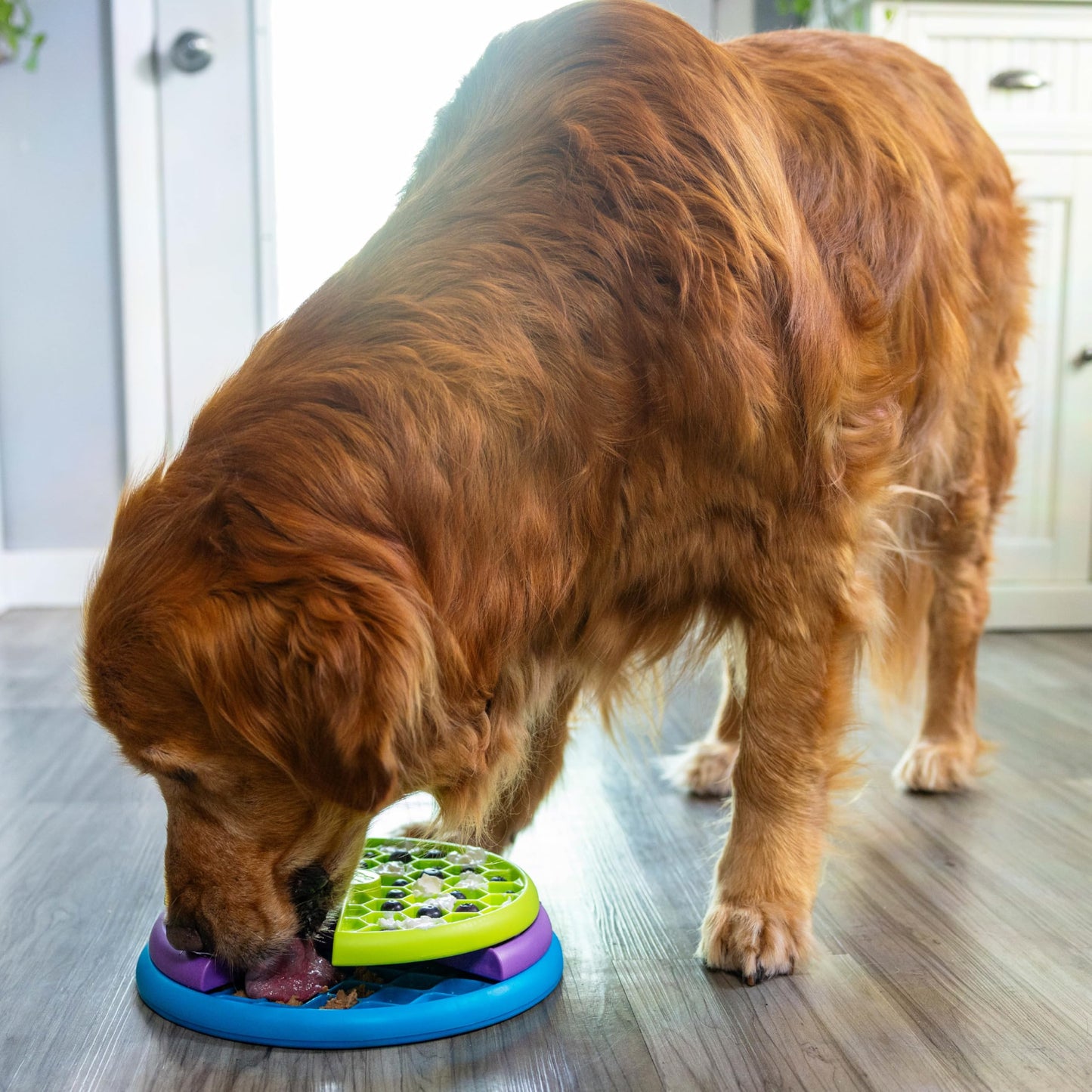 Outward Hound Nina Ottosson Lickin’ Layers 3-in-1 Dog Toy Treat Puzzle, 10" Outward Hound