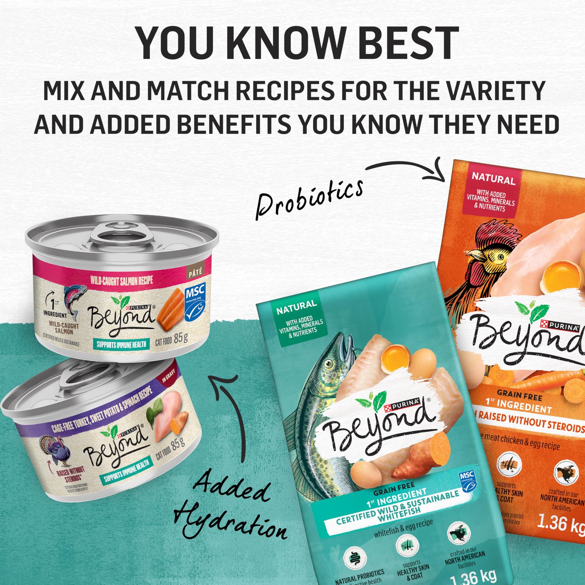 Beyond Grain Free Natural Dry Cat Food, Wild-Caught Whitefish & Free Run Egg - 2.26 kg Bag