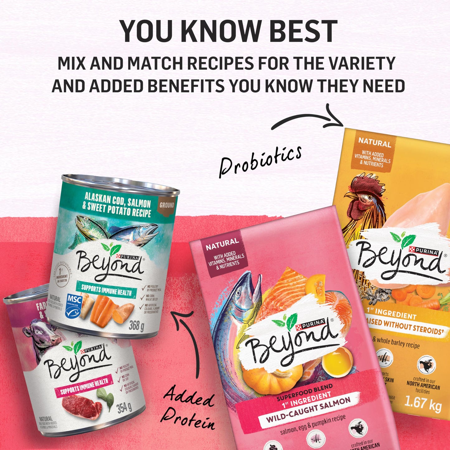 Beyond Superfood Blend Natural Dry Dog Food, Wild Caught Salmon, Egg & Pumpkin - 5 kg Bag 🍁 All In One Marketplace Canada